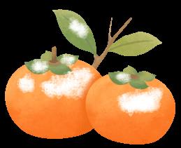 DƬ